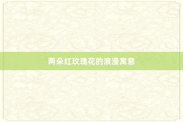 两朵红玫瑰花的浪漫寓意