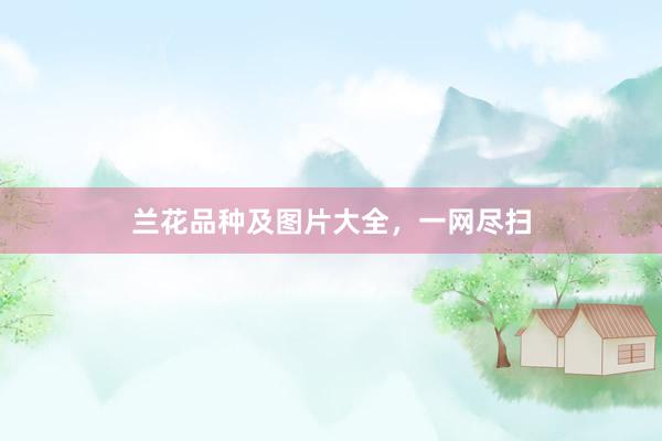 兰花品种及图片大全，一网尽扫