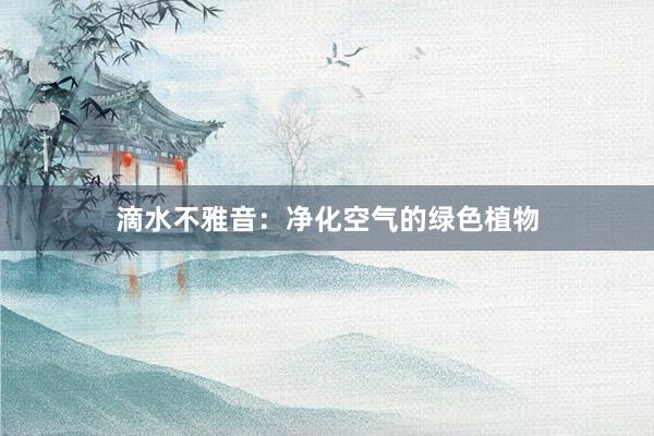 滴水不雅音：净化空气的绿色植物