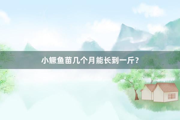 小鳜鱼苗几个月能长到一斤？