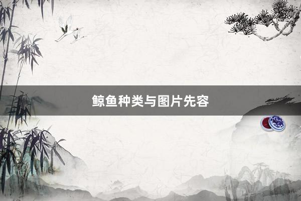 鲸鱼种类与图片先容